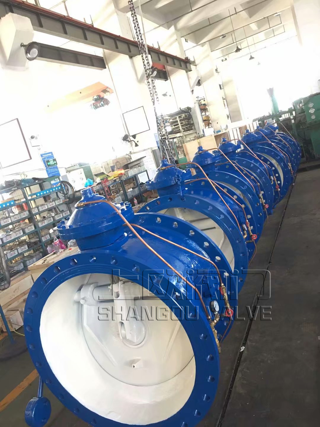 psb (30)_����.jpg